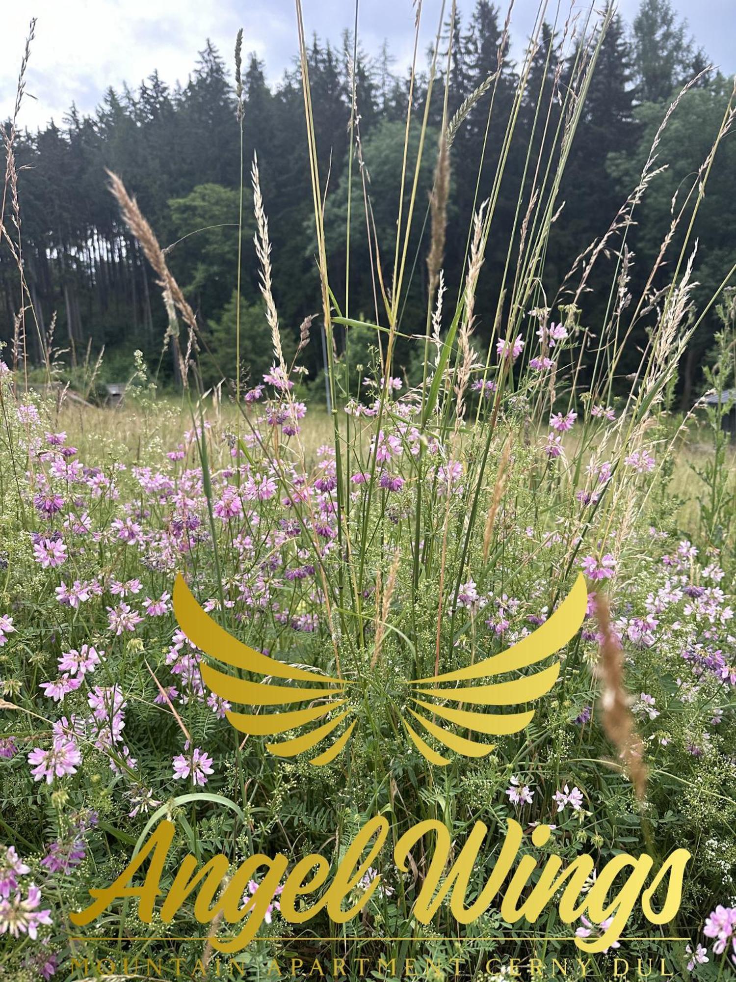 Angel Wings Mountain